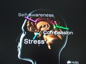 self-awareness