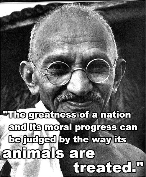 mahatma-gandhi