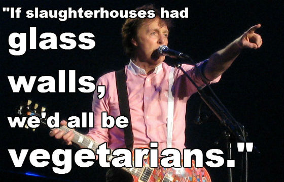 paul-mccartney