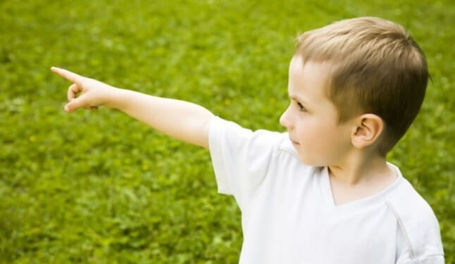 Bé 3 Tuổi Nhớ Lại Tiền Kiếp, Nhận Dạng Kẻ Sát Nhân và Nơi Chôn Giấu Thi Thể