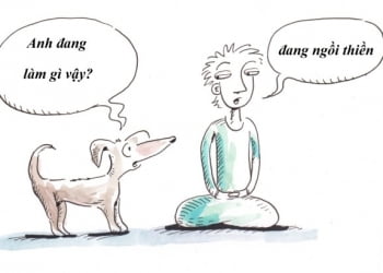 Không bị cảnh chuyển&nbsp;— chẳng phải dễ dàng