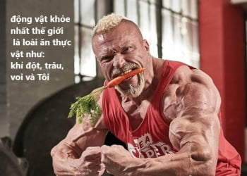 Ngỡ ngàng những người ăn chay tập gym nhưng có cơ bắp cực khủng