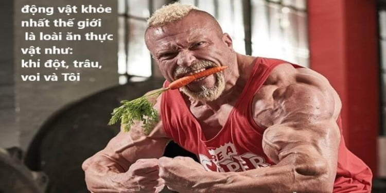Ngỡ ngàng những người ăn chay tập gym nhưng có cơ bắp cực khủng