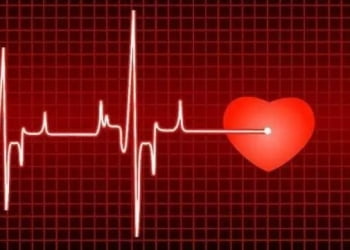 Sống thọ không chỉ do ăn uống, vận động, mà bí quyết là…đáng kinh ngạc