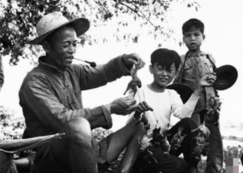 Chiến dịch diệt chim sẻ ở Trung Quốc&nbsp;— Câu chuyện Nhân quả có thật
