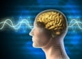 Thay đổi cấu trúc não bộ bằng thiền định