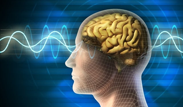 Thay đổi cấu trúc não bộ bằng thiền định