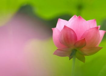Phạn Ngữ/Hán Tạng