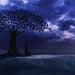 Hơi Thở Ý Thức&nbsp;— Sharon Salzberg