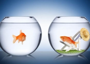 Những cảm xúc tai hại&nbsp;— ghanh tỵ và ghen ghét