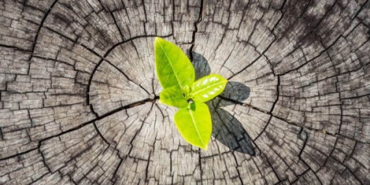 Đừng vội oán trách Nghịch cảnh bởi nó đang tôi luyện con người bạn