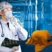 Động Tác Lạy Phật Có Nguyên Lý Y Học Hiện Đại Thâm Sâu