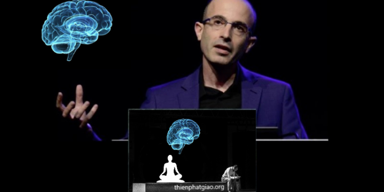Yuval Noah Harari nói về lợi ích của Thiền Phật Giáo đối với khoa học và trí tuệ não bộ
