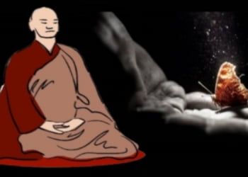 Bó củi và Con bướm